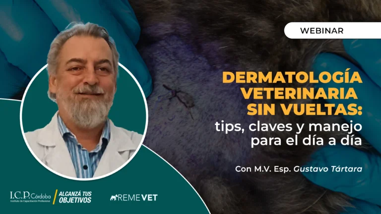 Dermatologia veterinaria sin vueltas