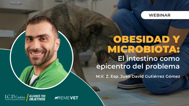 Microbiota y obesidad