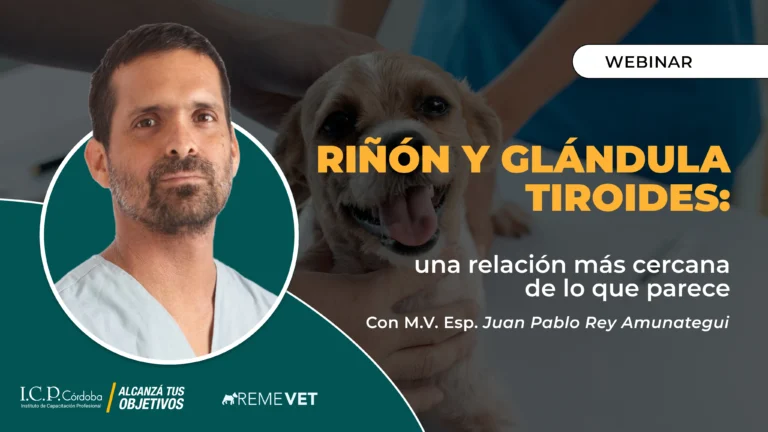 Rinon y glandula tiroides