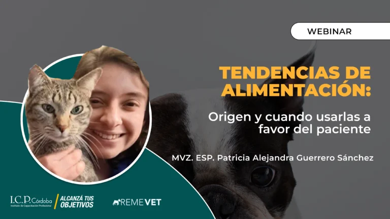 Tendencias de alimentacion