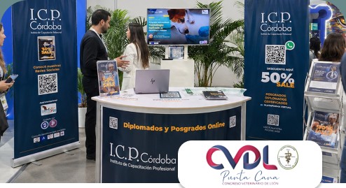 CVDL – Punta Cana, República Dominicana