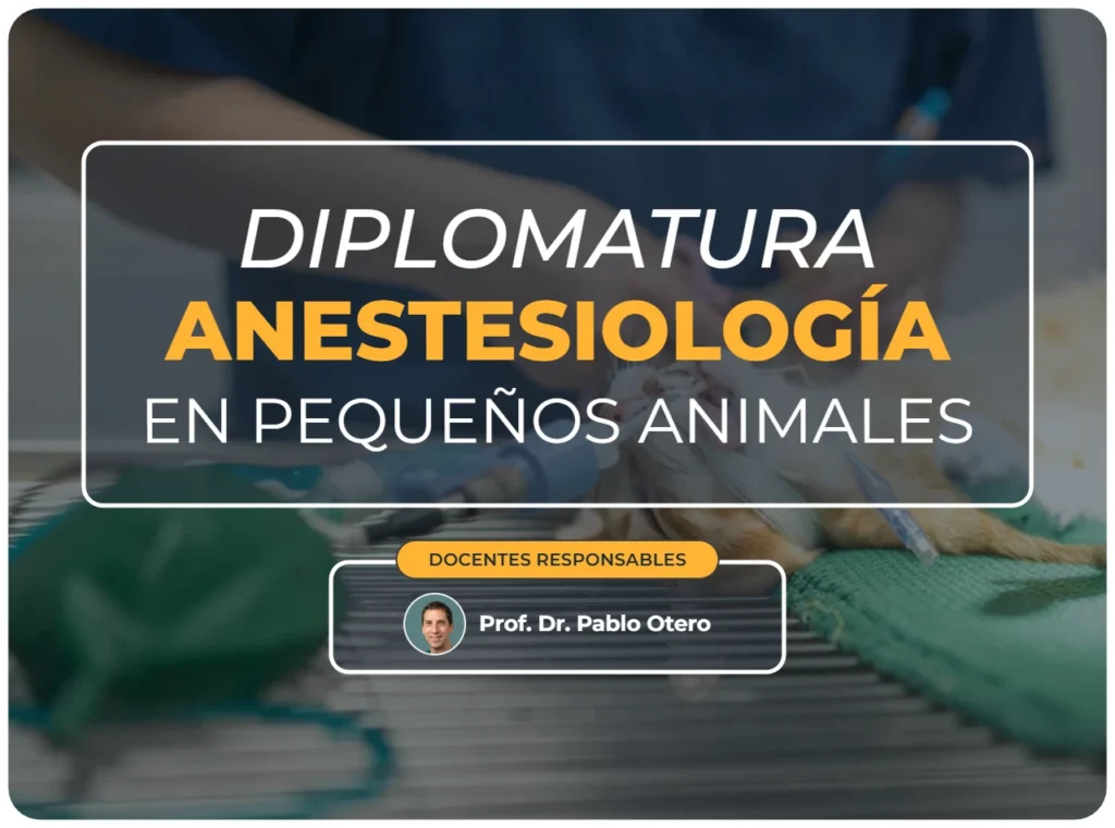 Diplomatura anestesiología