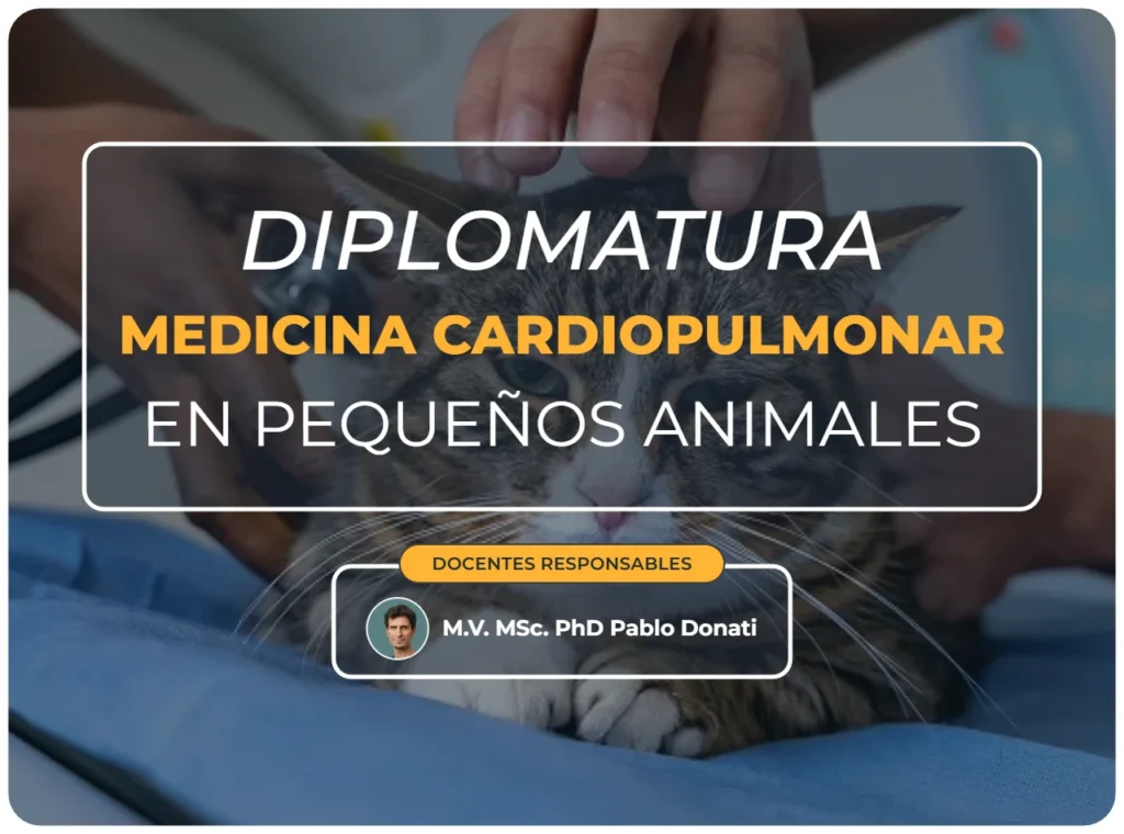 Diplomatura medicina cardiopulmonar