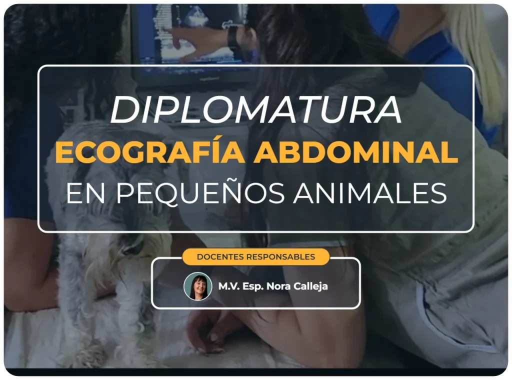 Diplomatura ecografía abdominal