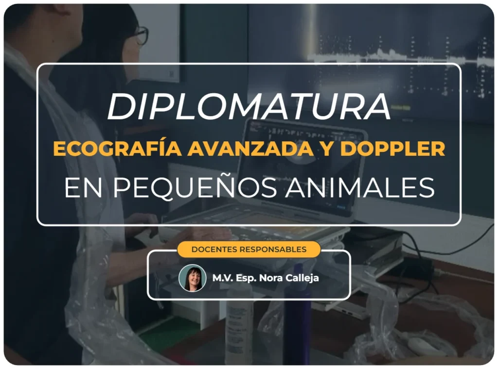 Diplomatura ecografía avanzada y doppler