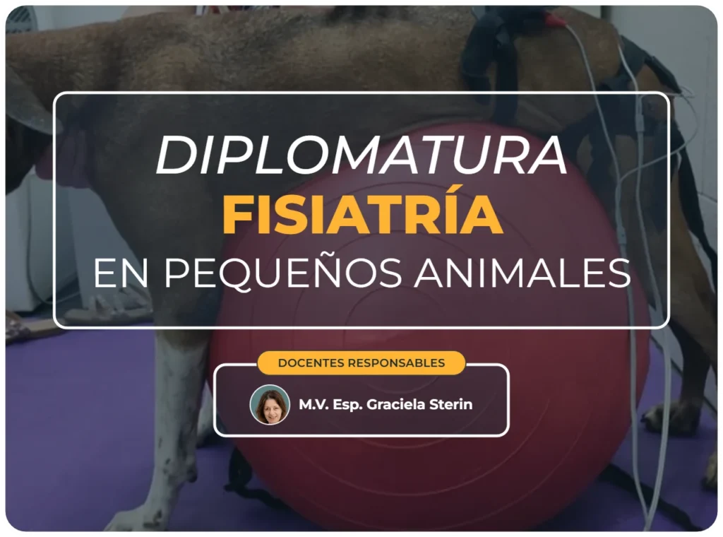 Diplomatura fisiatría