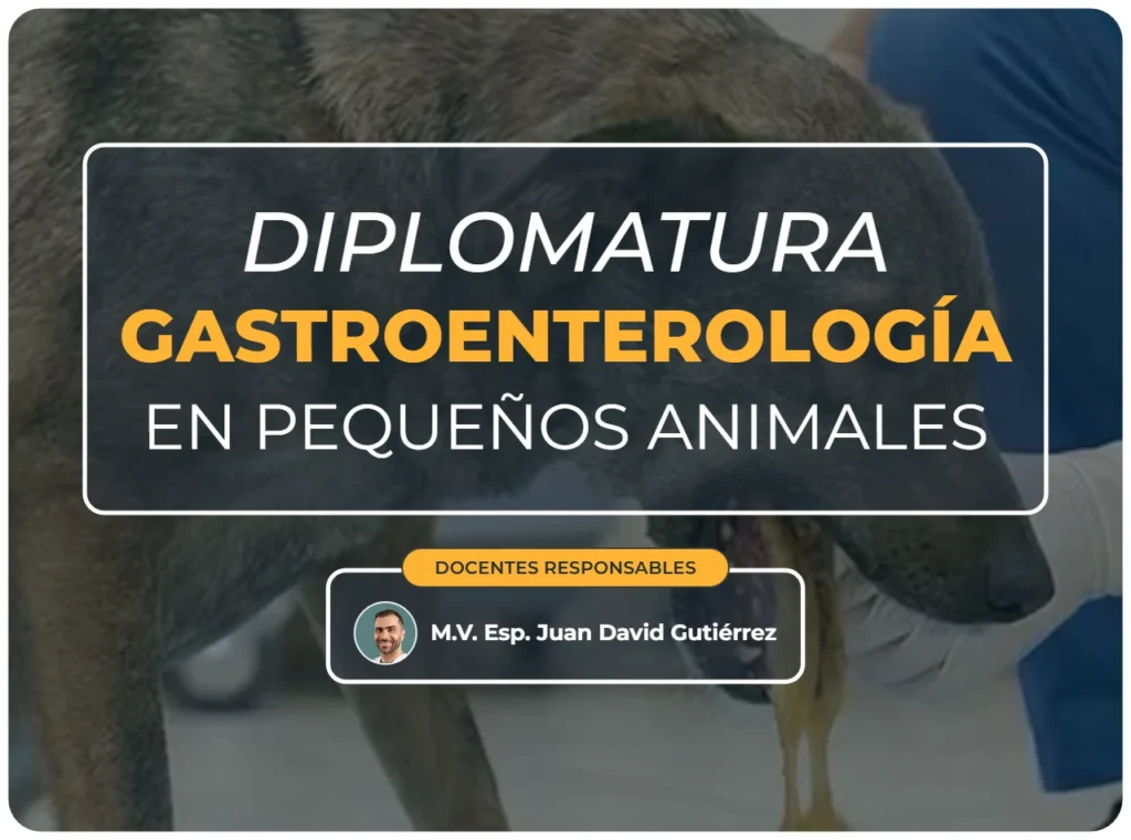 Diplomatura gastroenterología