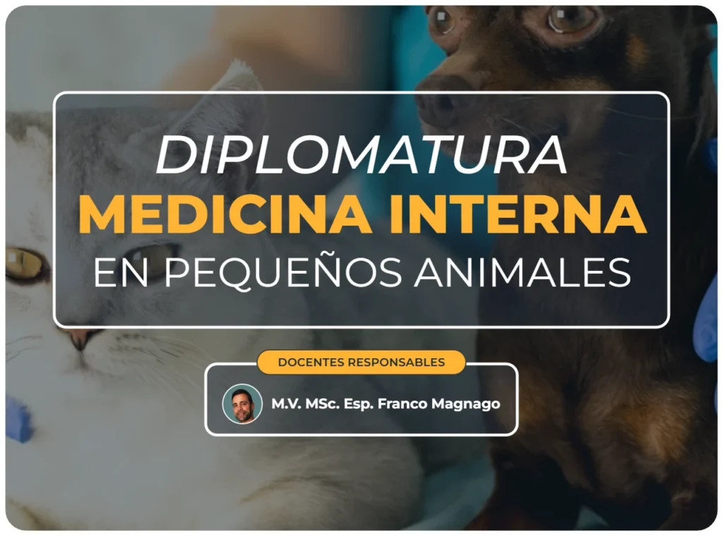Diplomatura medicina interna