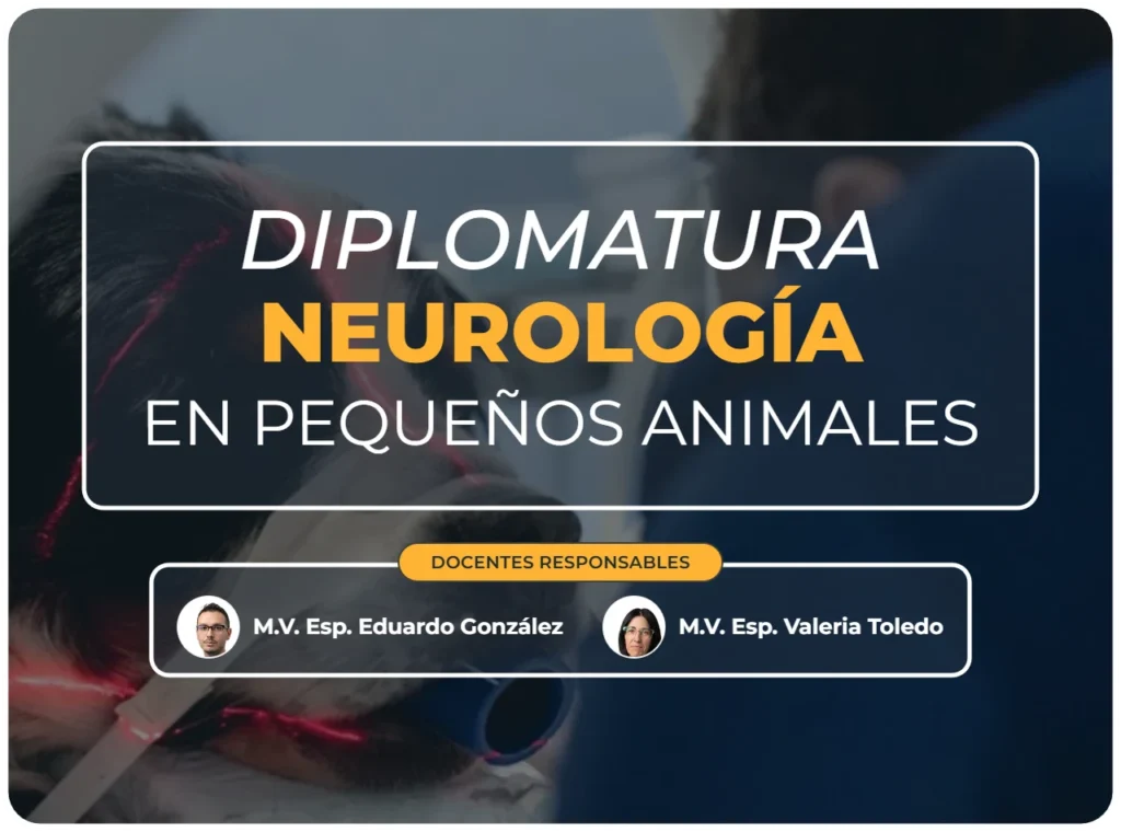 Diplomatura neurología