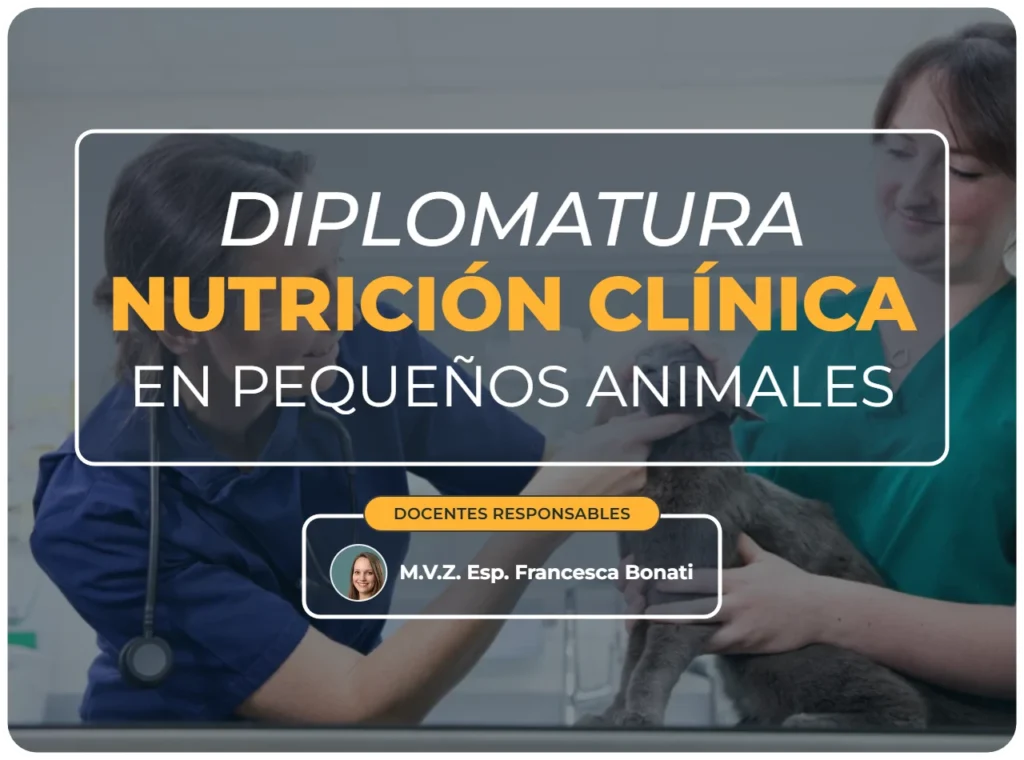 Diplomatura nutrición clínica