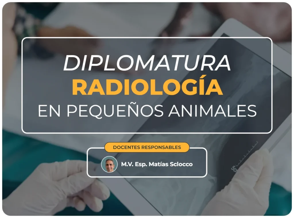 Diplomatura radiología