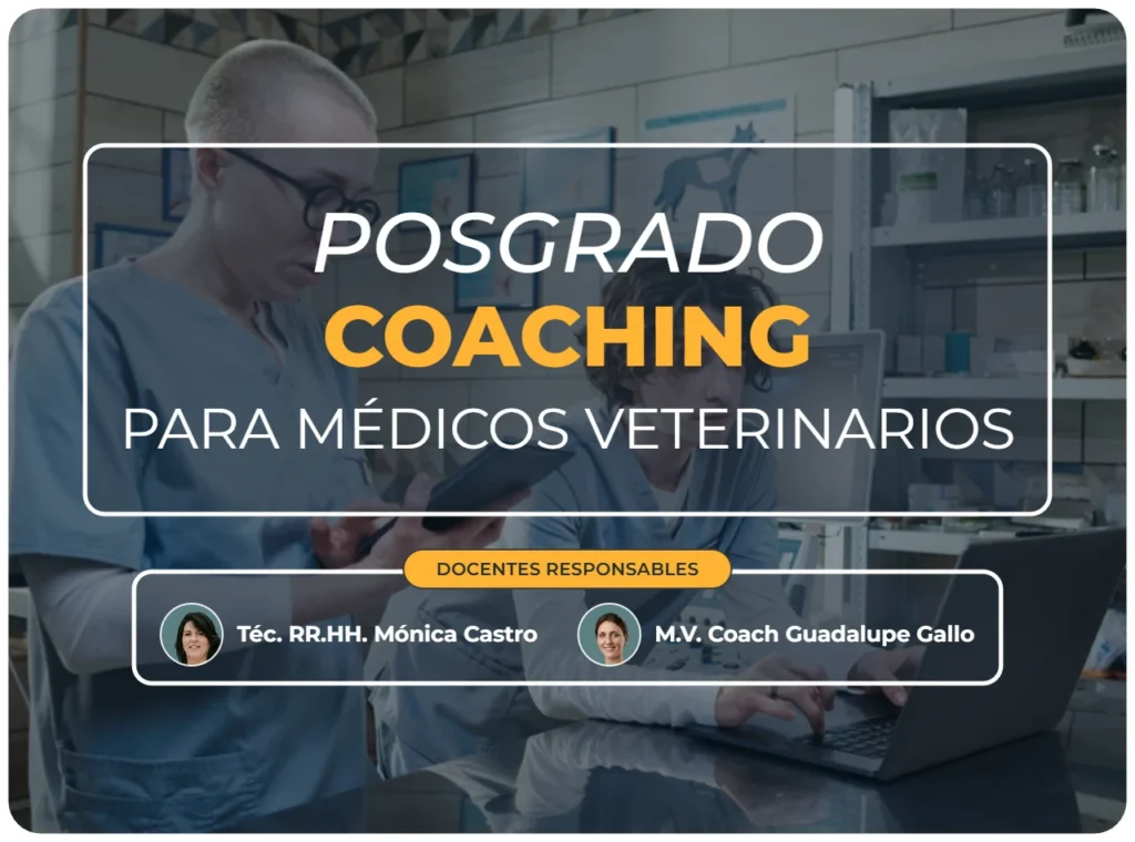 Posgrado coaching