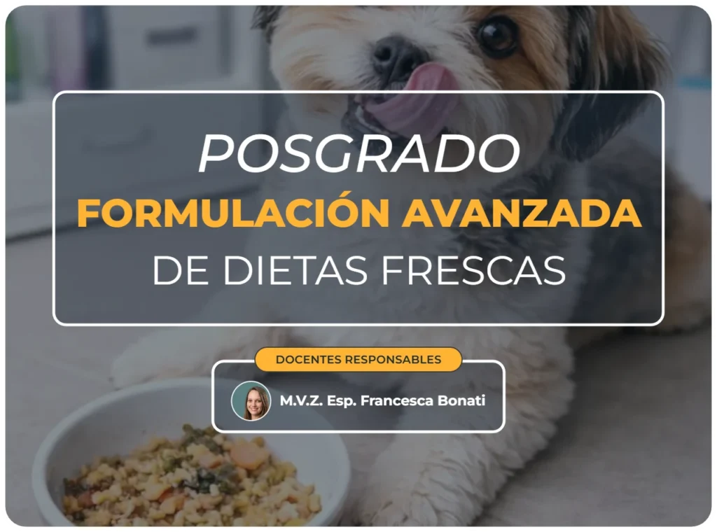 Posgrado formulación avanzada