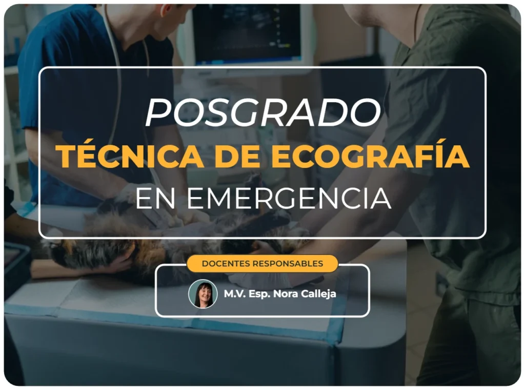 Posgrado técnica de ecografía