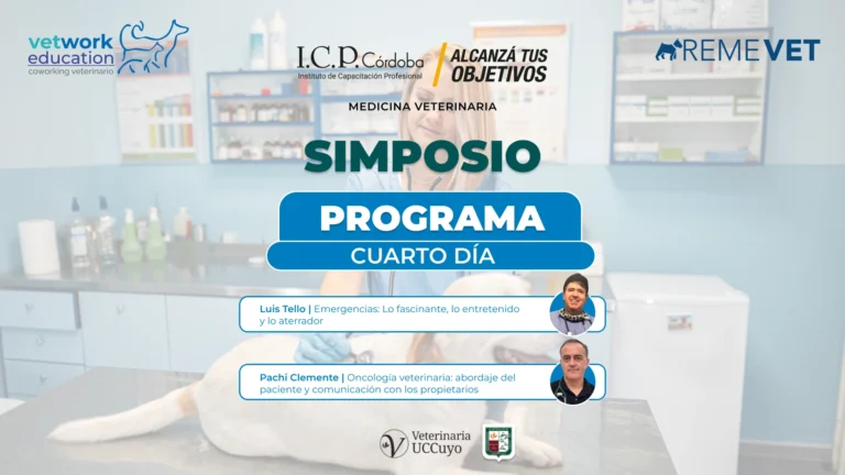 Simposio cuarto dia