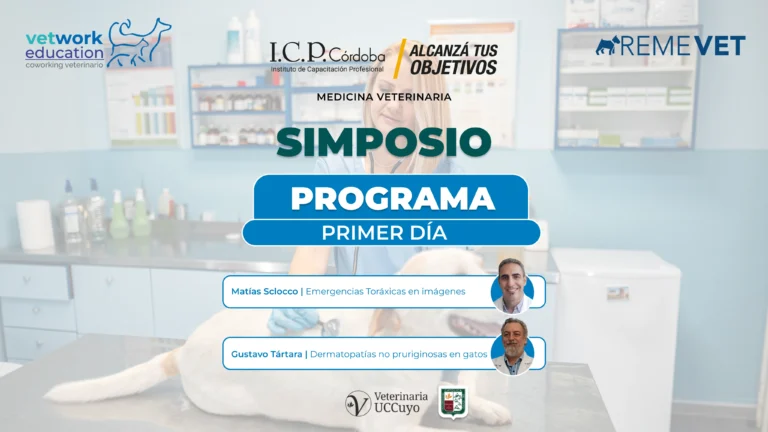 Simposio primer dia