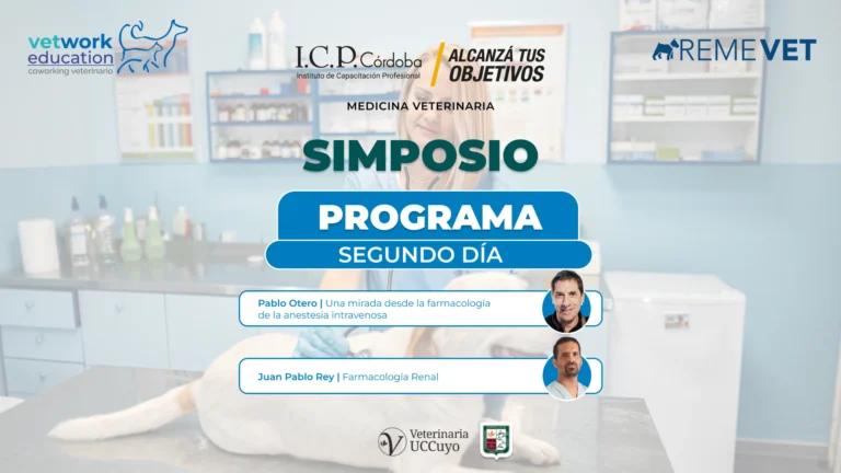 Simposio segundo dia