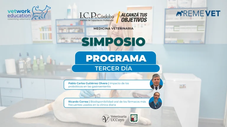 Simposio tercer dia